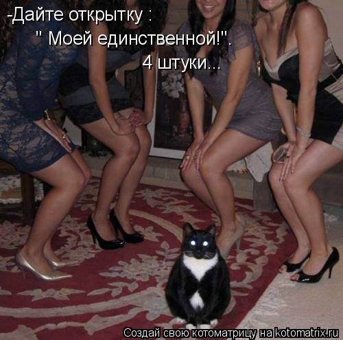 -Дайте открытку : " Моей единственной!". 4 штуки...... Котоматрица: -Дайте открытку : " Моей единственной!". 4 штуки...