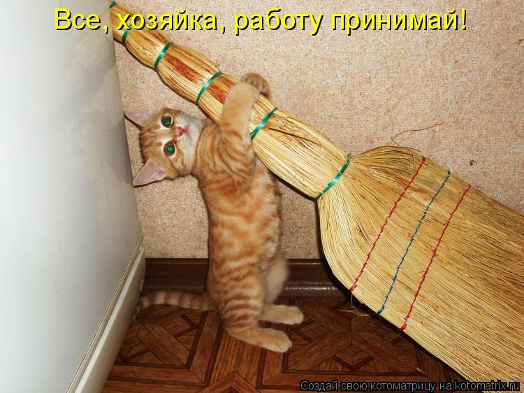 Все, хозяйка, работу принимай!... Котоматрица: Все, хозяйка, работу принимай!