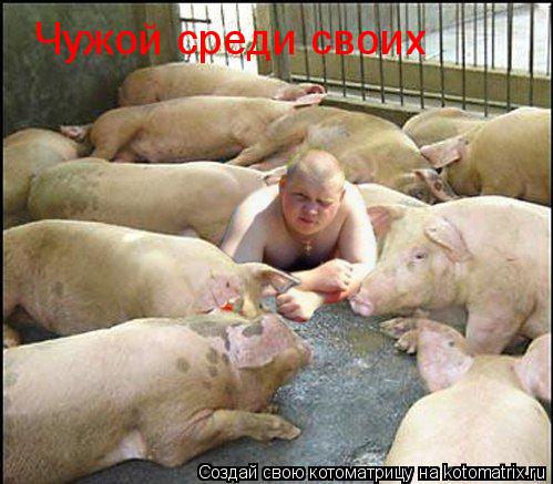 Чужой среди своих... Котоматрица: Чужой среди своих