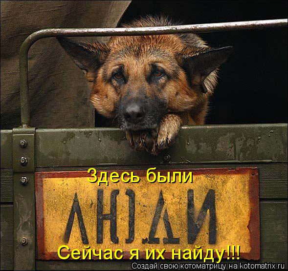Сейчас я их найду!!! Здесь были... Котоматрица: Сейчас я их найду!!! Здесь были