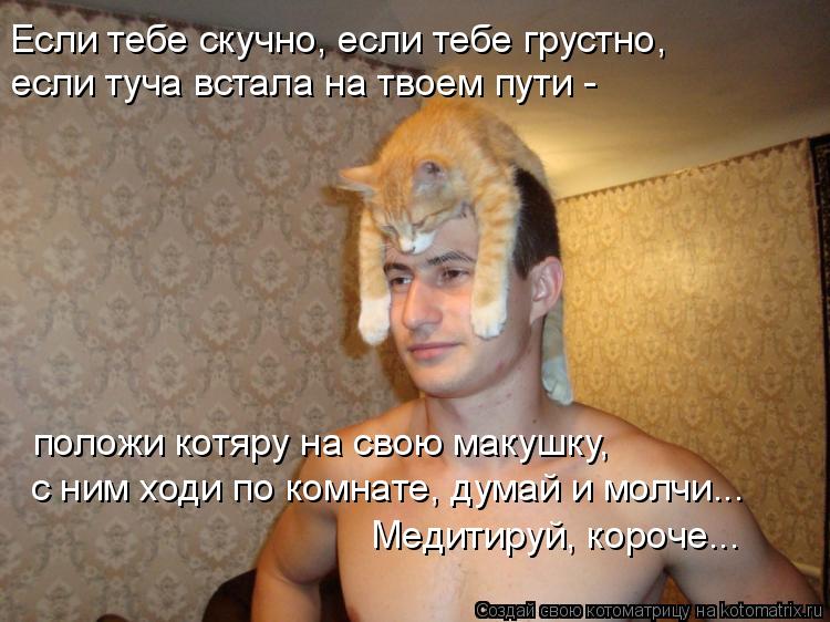 Если тебе скучно, если тебе грустно, если туча встала на твоем пути - положи котяру на свою макушку... Котоматрица: Если тебе скучно, если тебе грустно, если туча встала на твоем пути - положи котяру на свою макушку, с ним ходи по комнате, думай и молчи... Ме