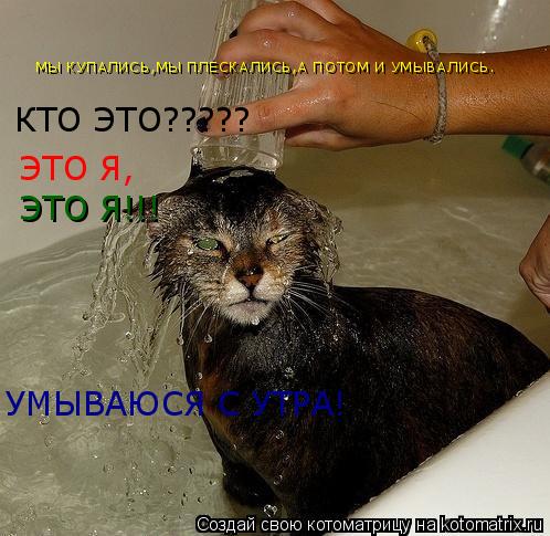 МЫ КУПАЛИСЬ,МЫ ПЛЕСКАЛИСЬ,А ПОТОМ И УМЫВАЛИСЬ. КТО ЭТО????? ЭТО Я, ЭТО Я!!! УМЫВАЮСЯ С УТРА!... Котоматрица: МЫ КУПАЛИСЬ,МЫ ПЛЕСКАЛИСЬ,А ПОТОМ И УМЫВАЛИСЬ. КТО ЭТО????? ЭТО Я, ЭТО Я!!! УМЫВАЮСЯ С УТРА!
