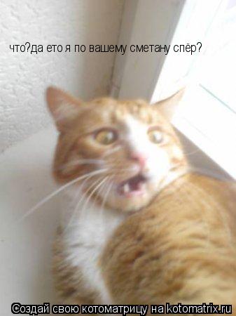 что?да ето я по вашему сметану спёр?... Котоматрица: что?да ето я по вашему сметану спёр?
