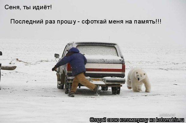 Последний раз прошу - сфоткай меня на память!!! Сеня, ты идиёт!... Котоматрица: Последний раз прошу - сфоткай меня на память!!! Сеня, ты идиёт!
