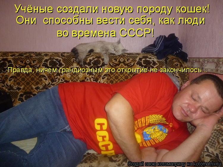 Учёные создали новую породу кошек! Они способны вести себя, как люди во времена СССР! Правда, ничем ... Котоматрица: Учёные создали новую породу кошек! Они способны вести себя, как люди во времена СССР! Правда, ничем грандиозным это открытие не закончилось
