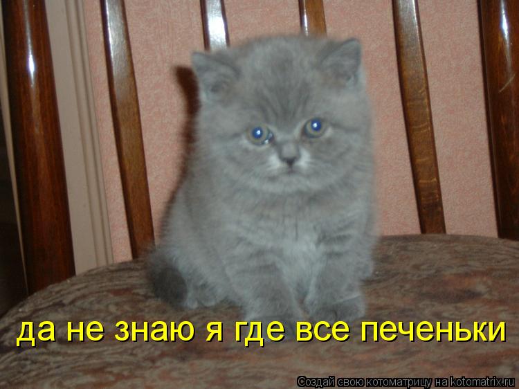 да не знаю я где все печеньки... Котоматрица: да не знаю я где все печеньки