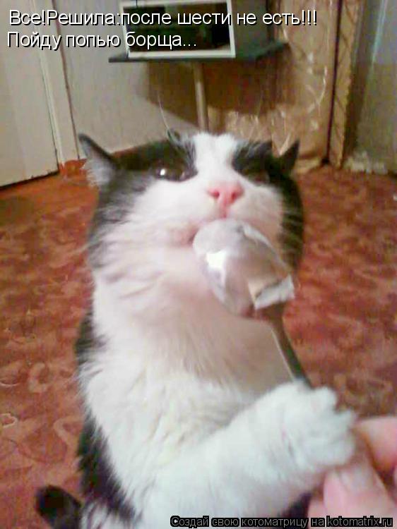 Все!Решила:после шести не есть!!! Пойду попью борща...... Котоматрица: Все!Решила:после шести не есть!!! Пойду попью борща...