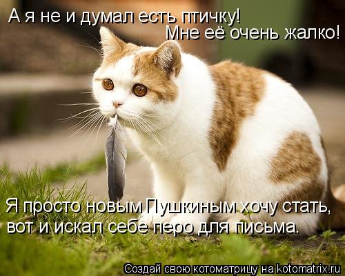 А я не и думал есть птичку! Мне её очень жалко! Я просто новым Пушкиным хочу стать, вот и искал себе ... Котоматрица: А я не и думал есть птичку! Мне её очень жалко! Я просто новым Пушкиным хочу стать, вот и искал себе перо для письма.
