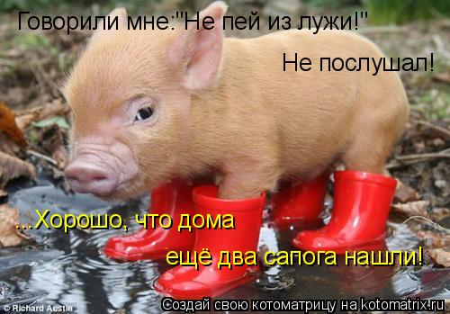 Говорили мне:"Не пей из лужи!" Не послушал! ...Хорошо, что дома ещё два сапога нашли!... Котоматрица: Говорили мне:"Не пей из лужи!" Не послушал! ...Хорошо, что дома ещё два сапога нашли!