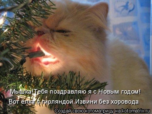 Мышка!Тебя поздравляю я с Новым годом! Вот ёлка с гирляндой.Извини без хоровода... Котоматрица: Мышка!Тебя поздравляю я с Новым годом! Вот ёлка с гирляндой.Извини без хоровода