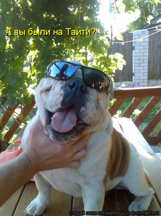 А вы были на Таити?... Котоматрица: А вы были на Таити?