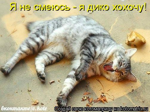 Я не смеюсь - я дико хохочу!... Котоматрица: Я не смеюсь - я дико хохочу!