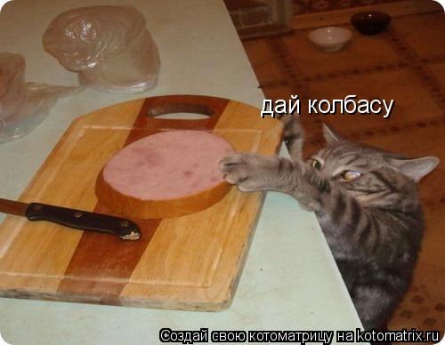 дай колбасу... Котоматрица: дай колбасу