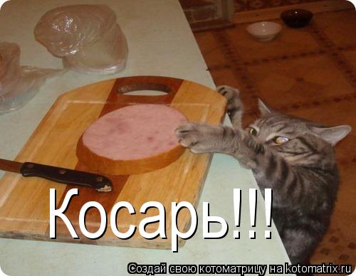 Косарь!!!... Котоматрица: Косарь!!!