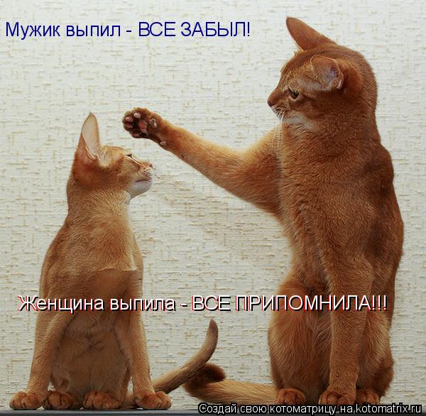 Мужик выпил - ВСЕ ЗАБЫЛ! Женщина выпила - ВСЕ ПРИПОМНИЛА!!! Женщина выпила - ВСЕ ПРИПОМНИЛА!!!... Котоматрица: Мужик выпил - ВСЕ ЗАБЫЛ! Женщина выпила - ВСЕ ПРИПОМНИЛА!!! Женщина выпила - ВСЕ ПРИПОМНИЛА!!!