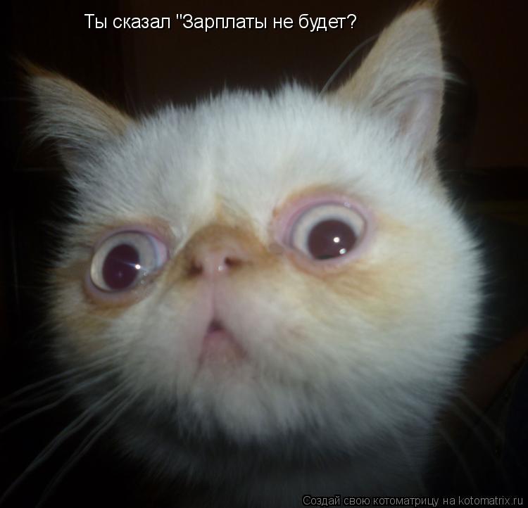 Ты сказал "Зарплаты не будет?... Котоматрица: Ты сказал "Зарплаты не будет?