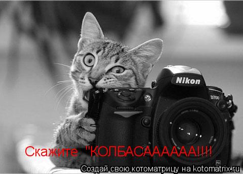 Скажите "КОЛБАСАААААА!!!!... Котоматрица: Скажите "КОЛБАСАААААА!!!!