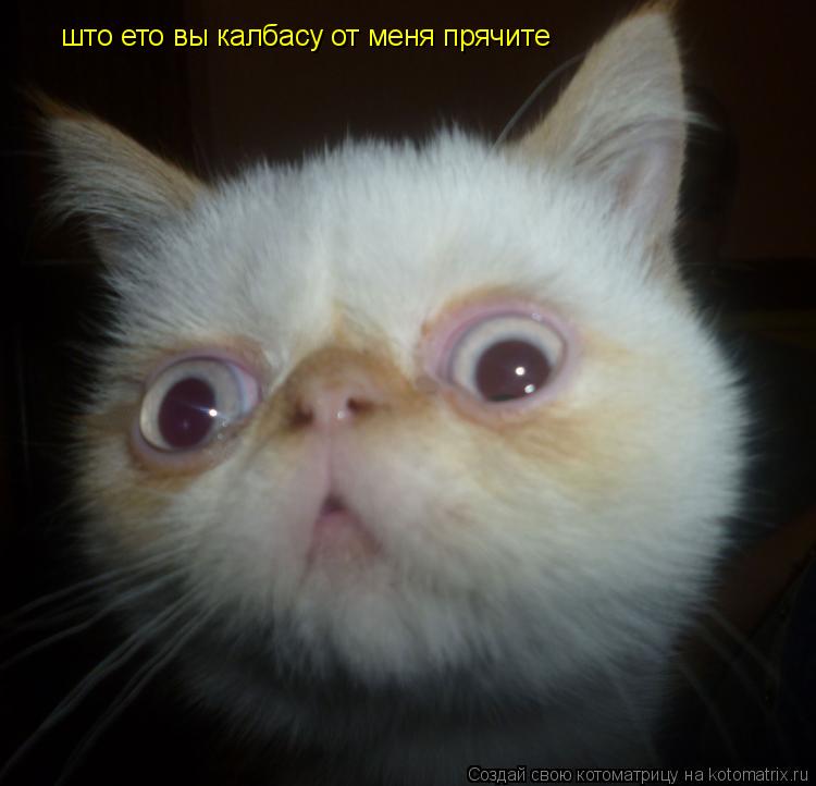 што ето вы калбасу от меня прячите... Котоматрица: што ето вы калбасу от меня прячите
