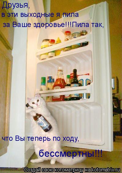 Друзья, в эти выходные я пила за Ваше здоровье!!!Пила так, что Вы теперь по ходу, бессмертны!!!... Котоматрица: Друзья, в эти выходные я пила за Ваше здоровье!!!Пила так, что Вы теперь по ходу, бессмертны!!!