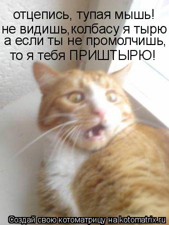 отцепись, тупая мышь! не видишь,колбасу я тырю а если ты не промолчишь, то я тебя ПРИШТЫРЮ!... Котоматрица: отцепись, тупая мышь! не видишь,колбасу я тырю а если ты не промолчишь, то я тебя ПРИШТЫРЮ!