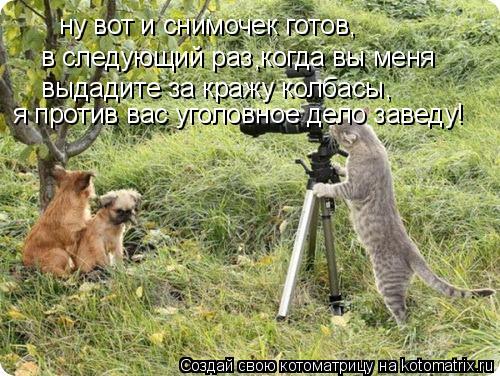ну вот и снимочек готов, в следующий раз когда вы меня выдадите за кражу колбасы, я против вас уголо... Котоматрица: ну вот и снимочек готов, в следующий раз когда вы меня выдадите за кражу колбасы, я против вас уголовное дело заведу! ,