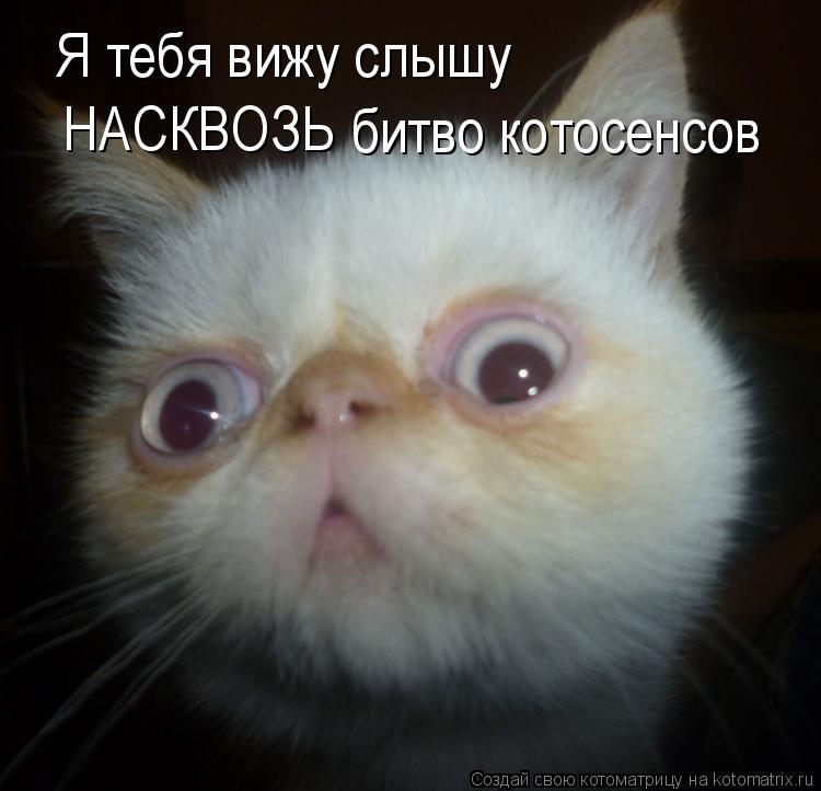 Котоматрица: Я тебя вижу слышу НАСКВОЗЬ битво котосенсов