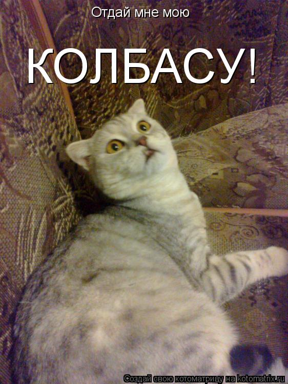 Котоматрица: Отдай мне мою  КОЛБАСУ!
