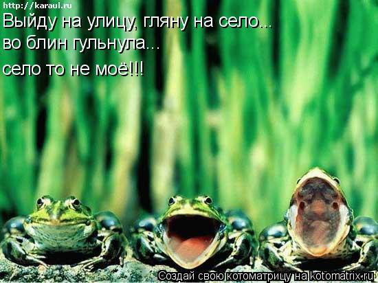 Котоматрица: Выйду на улицу, гляну на село... во блин гульнула... село то не моё!!!