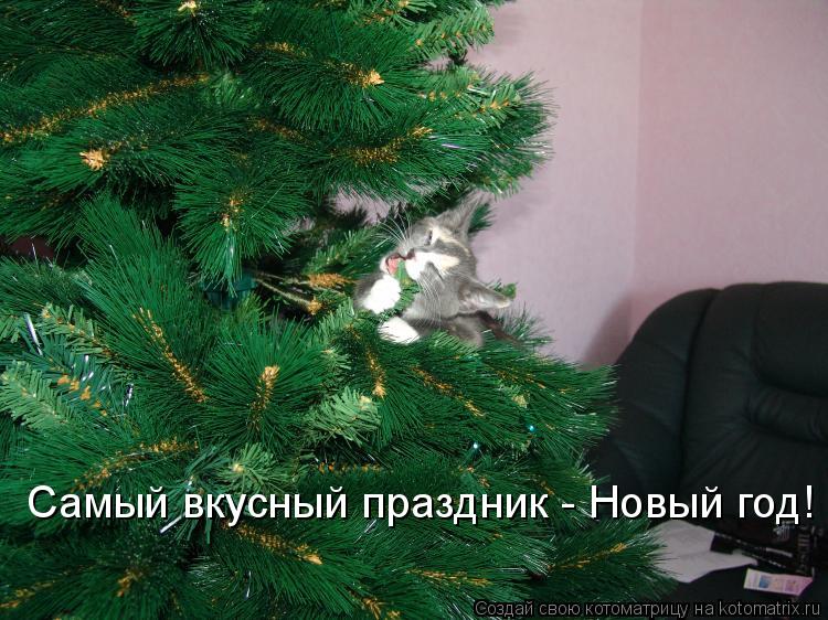 Котоматрица: Самый вкусный праздник - Новый год!