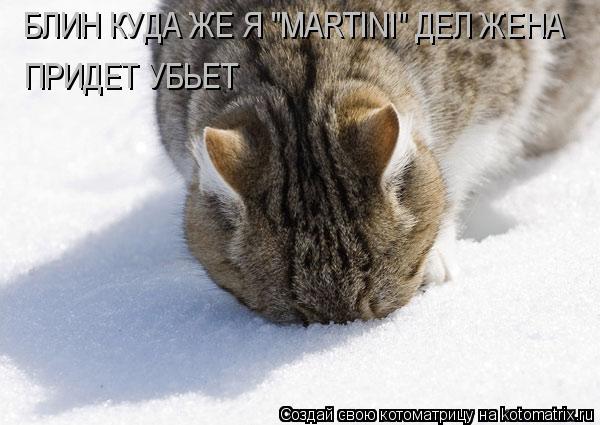Котоматрица: БЛИН КУДА ЖЕ Я "MARTINI" ДЕЛ ЖЕНА ПРИДЕТ УБЬЕТ