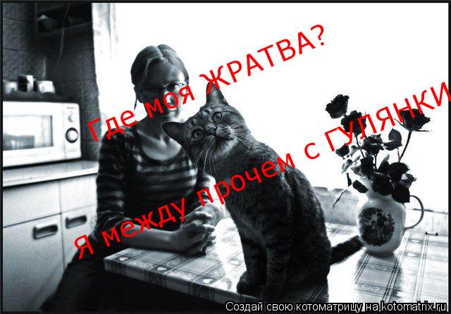 Котоматрица: Где моя ЖРАТВА? Я между прочем с ГУЛЯНКИ пришёл!!!