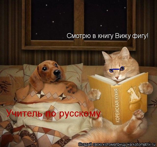 Котоматрица: Смотрю в книгу Вижу фигу! Учитель по русскому О О _