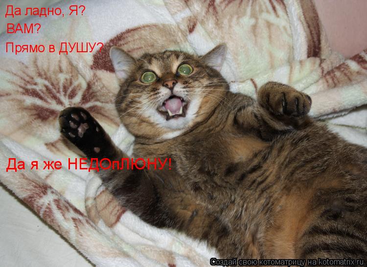 Котоматрица: Да ладно, Я?   ВАМ?   Прямо в ДУШУ?   Да я же НЕДОпЛЮНУ!