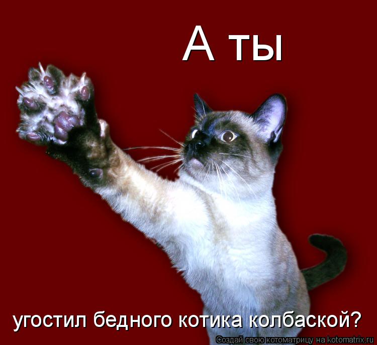 А ты угостил бедного котика колбаской?... Котоматрица: А ты угостил бедного котика колбаской?