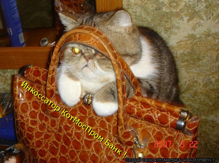 Инкоссатор КотМосПром Банк !... Котоматрица: Инкоссатор КотМосПром Банк !