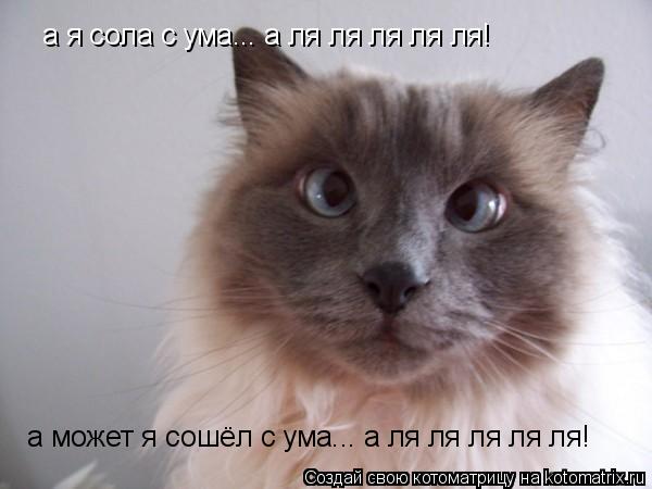 а я сола с ума... а ля ля ля ля ля! а может я сошёл с ума... а ля ля ля ля ля!... Котоматрица: а я сола с ума... а ля ля ля ля ля! а может я сошёл с ума... а ля ля ля ля ля!