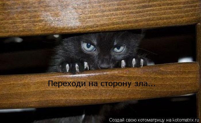 Переходи на сторону зла...... Котоматрица: Переходи на сторону зла...