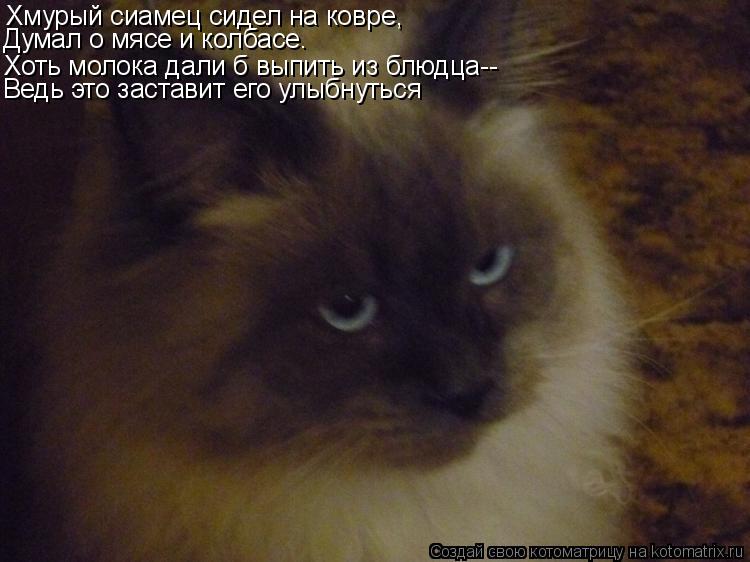 Хмурый сиамец сидел на ковре, Думал о мясе и колбасе. Хоть молока дали б выпить из блюдца-- Ведь это ... Котоматрица: Хмурый сиамец сидел на ковре, Думал о мясе и колбасе. Хоть молока дали б выпить из блюдца-- Ведь это заставит его улыбнуться