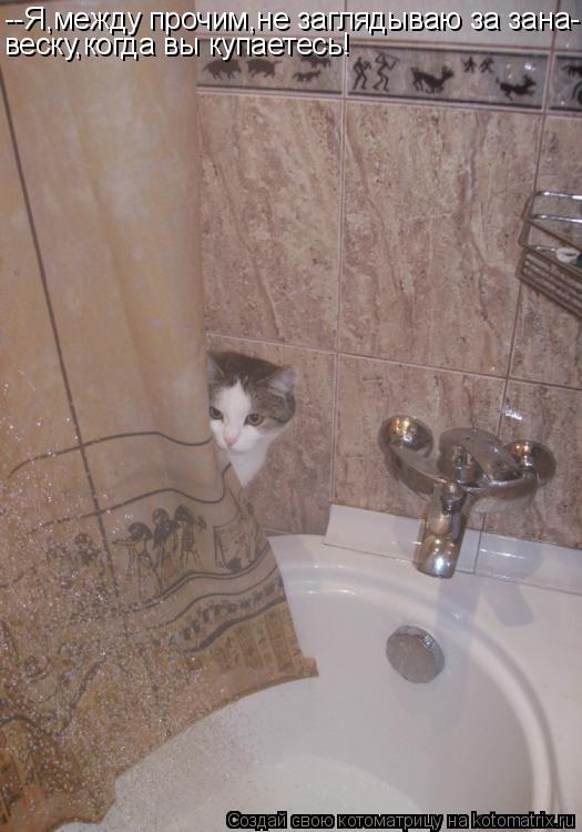 --Я,между прочим,не заглядываю за зана- веску,когда вы купаетесь!... Котоматрица: --Я,между прочим,не заглядываю за зана- веску,когда вы купаетесь!