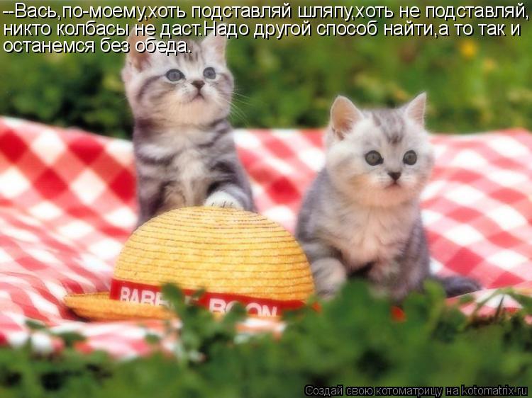 --Вась,по-моему,хоть подставляй шляпу,хоть не подставляй, никто колбасы не даст.Надо другой способ на... Котоматрица: --Вась,по-моему,хоть подставляй шляпу,хоть не подставляй, никто колбасы не даст.Надо другой способ найти,а то так и останемся без обеда.