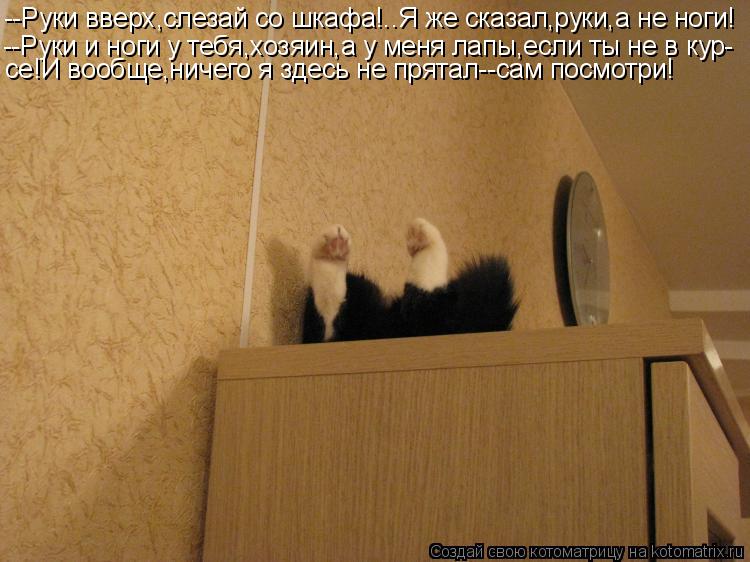 --Руки вверх,слезай со шкафа!..Я же сказал,руки,а не ноги! --Руки и ноги у тебя,хозяин,а у меня лапы,... Котоматрица: --Руки вверх,слезай со шкафа!..Я же сказал,руки,а не ноги! --Руки и ноги у тебя,хозяин,а у меня лапы,если ты не в кур- се!И вообще,ничего я здесь не