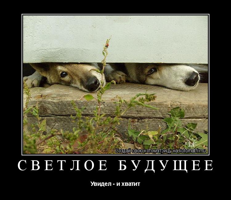 светлое будущее Увидел - и хватит... Котоматрица: светлое будущее Увидел - и хватит