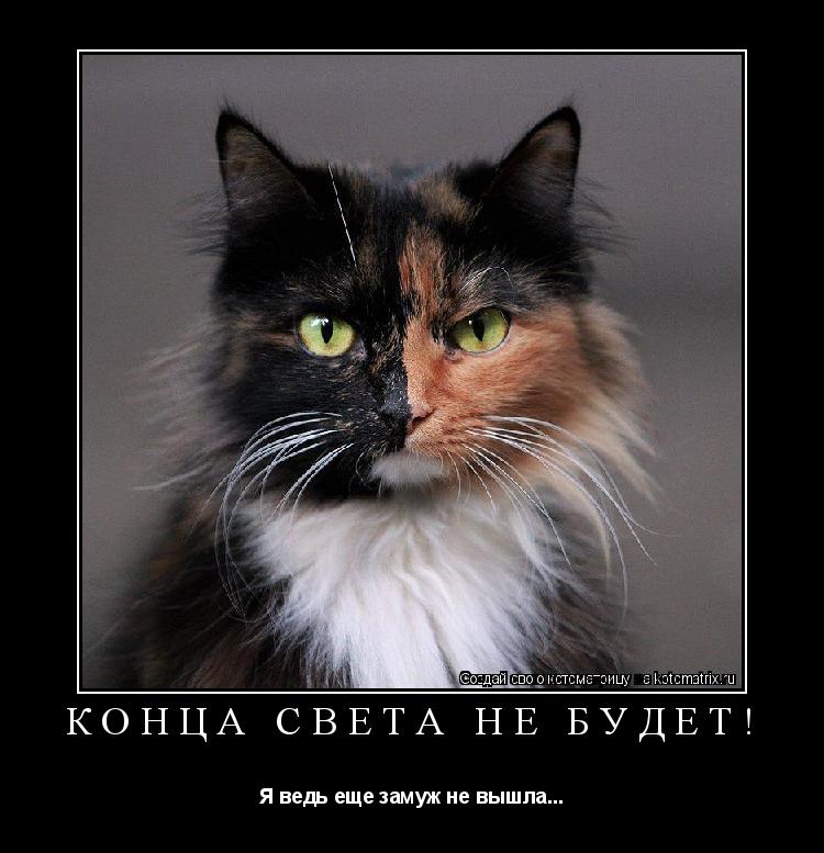 КОНЦА СВЕТА НЕ БУДЕТ! Я ведь еще замуж не вышла...... Котоматрица: КОНЦА СВЕТА НЕ БУДЕТ! Я ведь еще замуж не вышла...