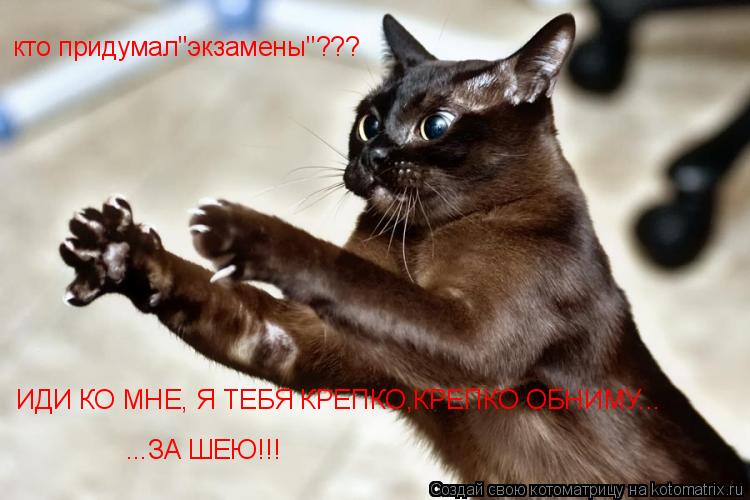 кто придумал"экзамены"??? ИДИ КО МНЕ, Я ТЕБЯ КРЕПКО,КРЕПКО ОБНИМУ... ...ЗА ШЕЮ!!!... Котоматрица: кто придумал"экзамены"??? ИДИ КО МНЕ, Я ТЕБЯ КРЕПКО,КРЕПКО ОБНИМУ... ...ЗА ШЕЮ!!!