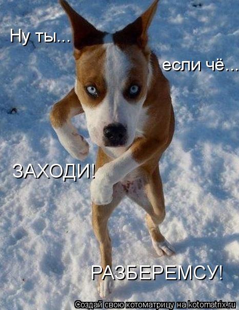 Ну ты... если чё... ЗАХОДИ! РАЗБЕРЕМСУ!... Котоматрица: Ну ты... если чё... ЗАХОДИ! РАЗБЕРЕМСУ!