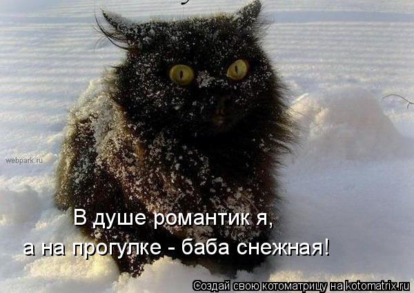 В душе романтик я, а на прогулке - баба снежная!... Котоматрица: В душе романтик я, а на прогулке - баба снежная!