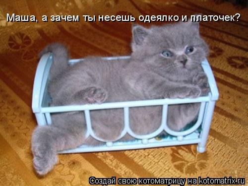Маша, а зачем ты несешь одеялко и платочек?... Котоматрица: Маша, а зачем ты несешь одеялко и платочек?