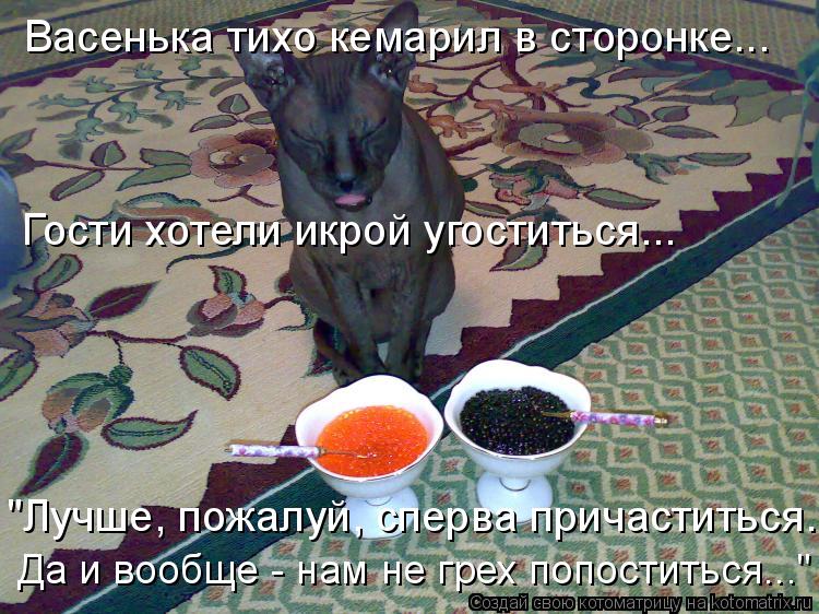 Гости хотели икрой угоститься... Васенька тихо кемарил в сторонке... "Лучше, пожалуй, сперва причасти... Котоматрица: Гости хотели икрой угоститься... Васенька тихо кемарил в сторонке... "Лучше, пожалуй, сперва причаститься..." Да и вообще - нам не грех попостит