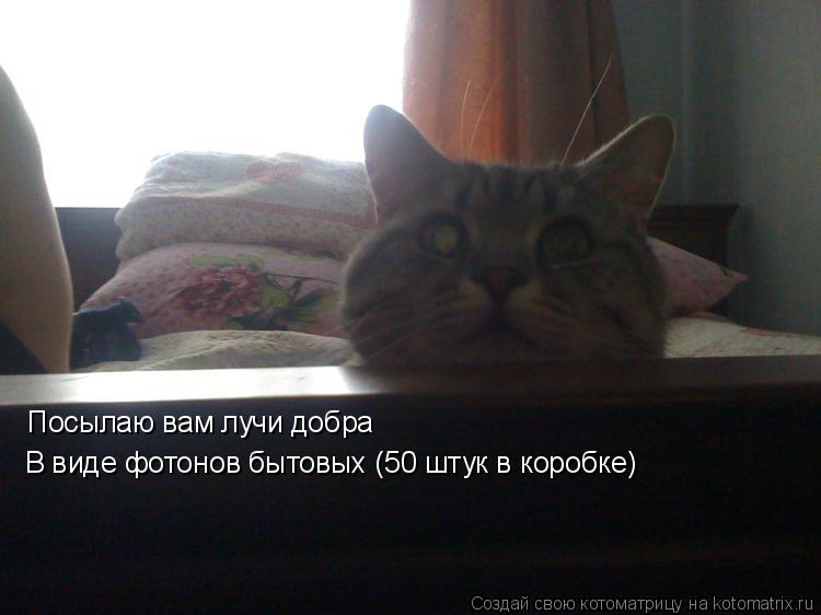 Посылаю вам лучи добра В виде фотонов бытовых (50 штук в коробке)... Котоматрица: Посылаю вам лучи добра В виде фотонов бытовых (50 штук в коробке)