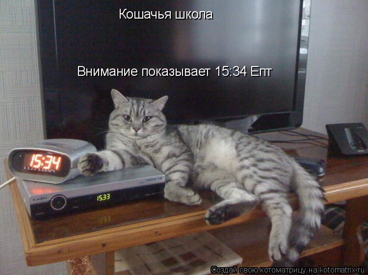 Внимание показывает 15:34 Епт Кошачья школа... Котоматрица: Внимание показывает 15:34 Епт Кошачья школа